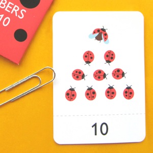 Number Flash Cards